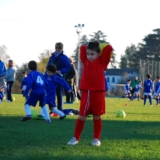 Piccoli-Amici-201011-Raggruppamento-Silea-12.11.2016-22-Custom
