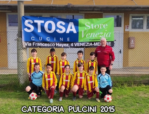 PULCINI 2015